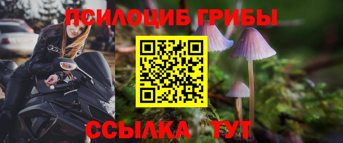 Псилоцибиновые грибы Cubensis Кимовск